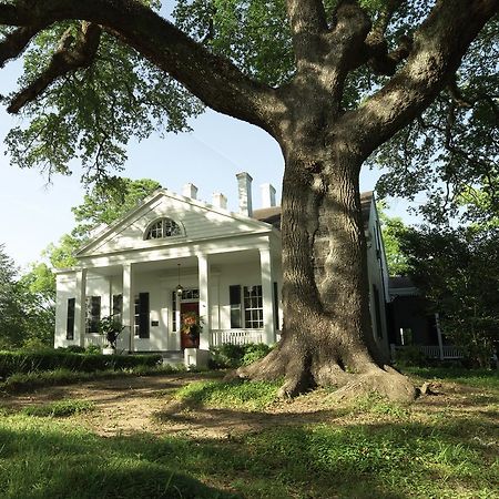 Twin Oaks Inn Натчез Экстерьер фото